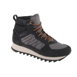 alpine-mid-plr-wp-2