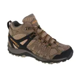 accentor-3-mid-wp