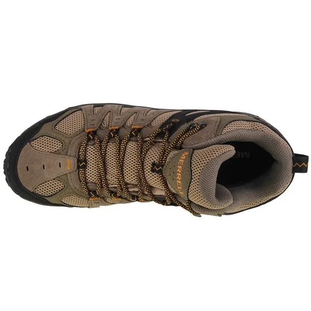 accentor-3-mid-wp-rozmiar-43