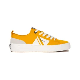 allen-flag-color-yellow