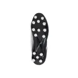 arenga-301-kod-producenta-2159301