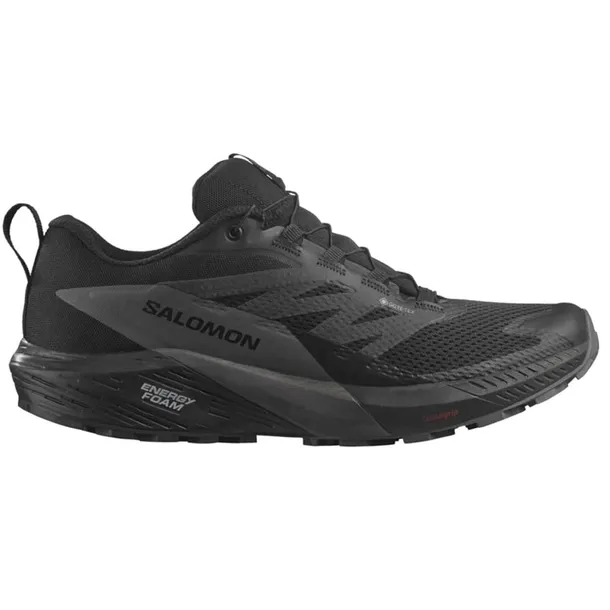 sense-ride-5-gtx-marka-salomon