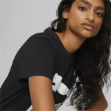 classics-logo-marka-puma-kod-producenta-53007601