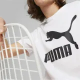 classics-logo-marka-puma-kod-producenta-53008802