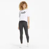 ess-cropped-logo-marka-puma-rozmiar-xl