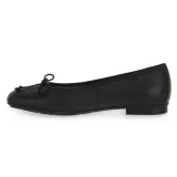 243465003-marka-hispanitas