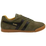 harrier