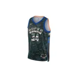 nba-giannis-antetokounmpo-select-marka-nike