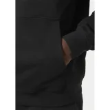 core-graphic-sweat-marka-helly-hansen