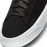 sb-zoom-blazer-pro-gt-marka-nike-rozmiar-365