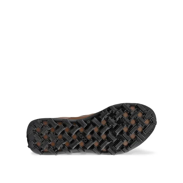biom-2-1-mountain-mid-gtx-marka-ecco-rozmiar-45
