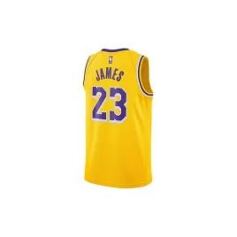 nba-los-angeles-lakers-lebron-james-icon-edition