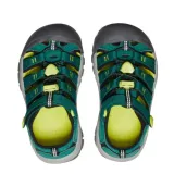 newport-h2-kod-producenta-1028823