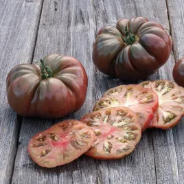 pomidor-wysoki-typ-czarny-ksiaze-tunel-grunt-pomidory-nasiona-pomidorow