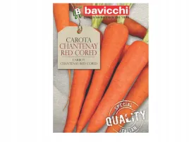marchew-chantenay-red-cored-slodka-nasiona-bavicchi