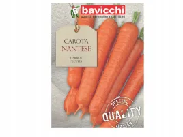 marchew-nantes-2-wczesna-dojrzalosc-nasiona-bavicchi