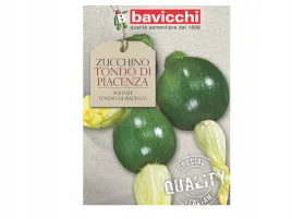 cukinia-tondo-di-piacenza-wczesna-odmiana-nasiona-bavicchi