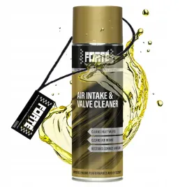 forte-air-intake-and-valve-cleaner-benzyna-diesel-czysci-zawory-z-nagaru