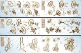 ugears-mechanical-model-puzzle-3d-dynamometer-48-pcs-plec-chlopcy-dziewczynki