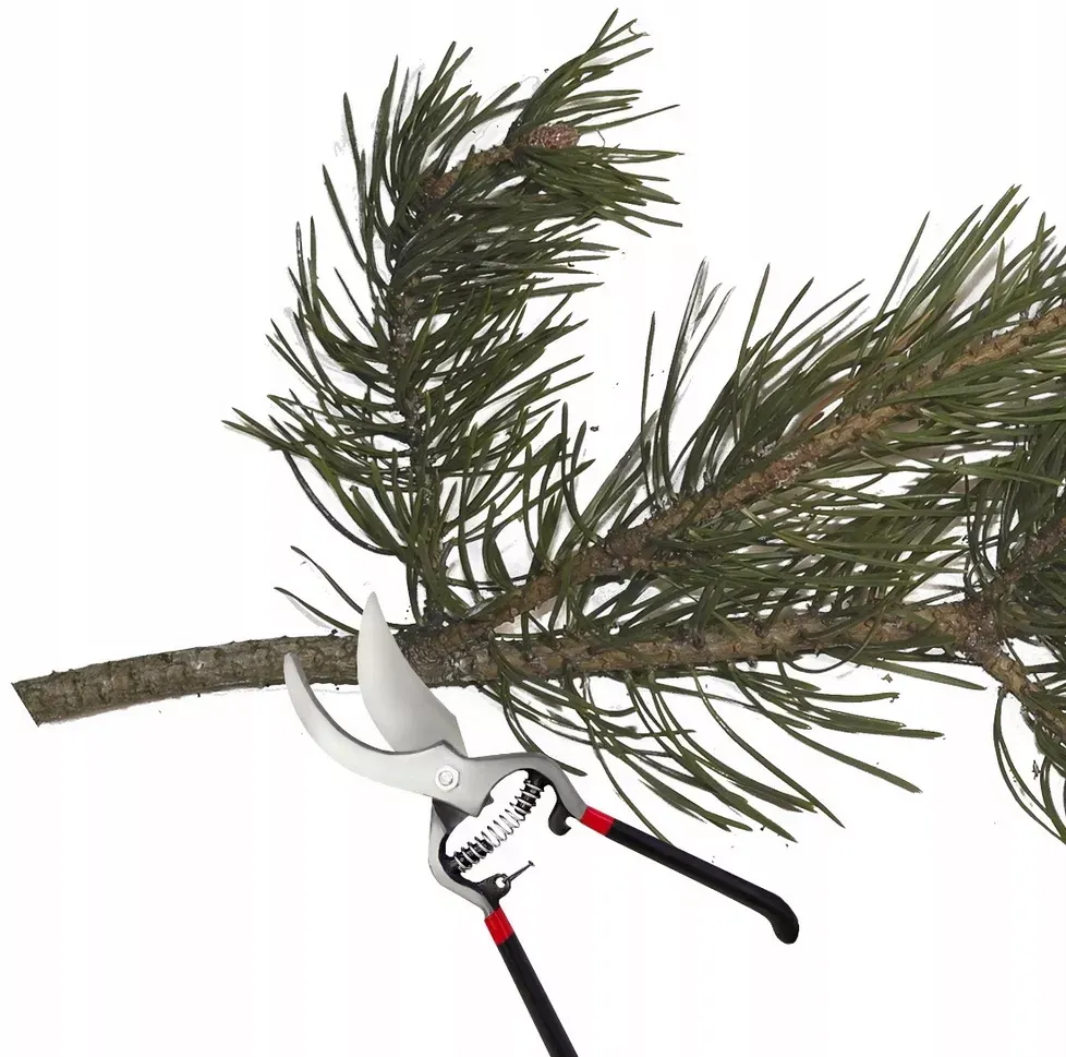 sekator-ogrodowy-stal