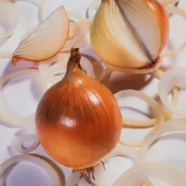 cebula-szalotka-conservor-f1-srednio-wczesny-20-szt-nasiona-warzyw-cebuli