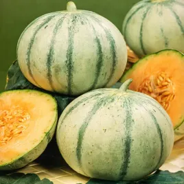 melon-malaga-f1-nasiona-warzyw-slodki-owoc-aromatyczny-miazsz
