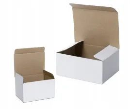 pudelko-fasonowe-250x150x100-karton-wykrojnikowy-bialy-10szt