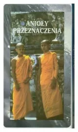 anioly-przeznaczenia-karty