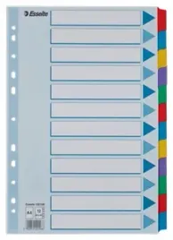 przekladki-esselte-mylar-karton-karta-opisowa-a4