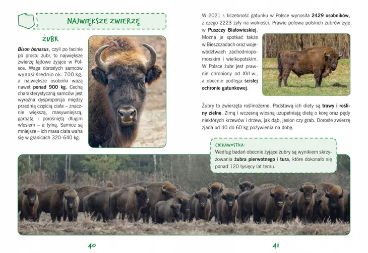 polska-naj-przyroda-typ-publikacji-przewodnik