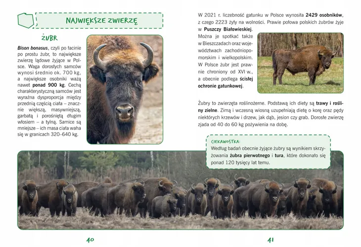 polska-naj-przyroda-szerokosc-produktu-20-6-cm