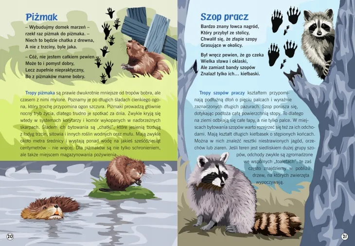 moja-przyroda-slady-zwierzat-wydawnictwo-wydawnictwo-sbm