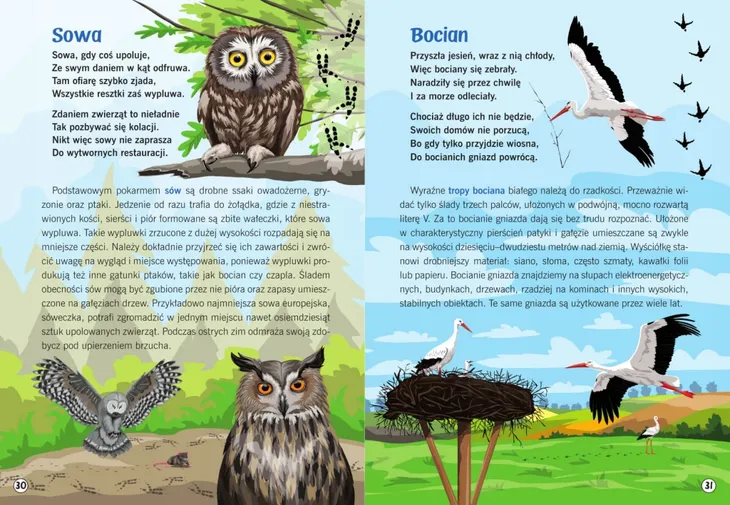 moja-przyroda-slady-zwierzat-jezyk-polski