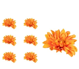 dalia-glowka-kwiatowa-pomaranczowa-6-sztuk