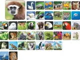 gra-memory-zoo-adamigo-stan-nowy
