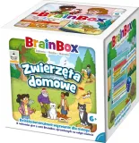 brainbox-zwierzeta-domowe-rodzaj-podstawa