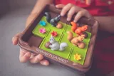 squirrels-go-nuts-smart-games-wersja-jezykowa-gry-niezalezna-jezykowo