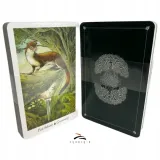tarot-pradawnego-lasu-okladka-miekka
