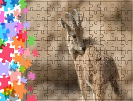 puzzle-tradycyjne-zwierzeta-kozica-producent