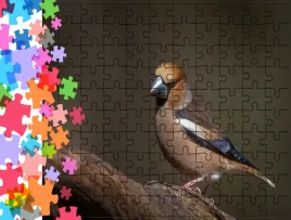 puzzle-tradycyjne-zwierzeta-ptak-producent