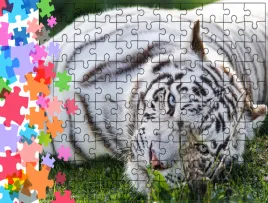 puzzle-tradycyjne-zwierzeta-tygrys-producent