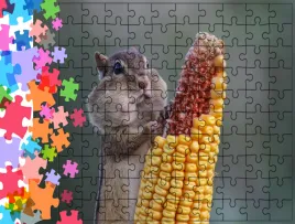 puzzle-tradycyjne-zwierzeta-producent