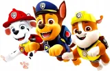 interaktywny-quiz-psi-patrol-bohater-psi-patrol