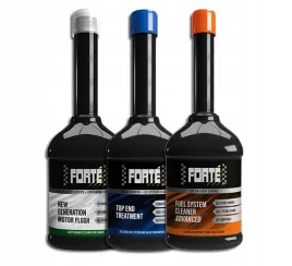 forte-profilaktyka-minimalna-pakiet-do-silnika-benzynowego-co-15-tys-km