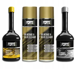 forte-zestaw-do-czyszczenia-dpf-fap-zdemontowanego