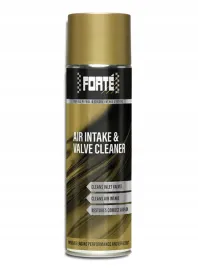 forte-air-intake-and-valve-cleaner