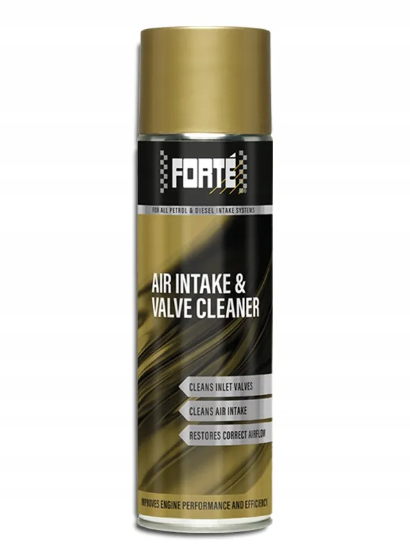 forte-air-intake-and-valve-cleaner