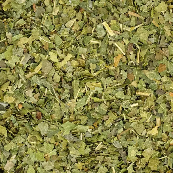 morwa-biala-lisc-krojony-50g-kraj-pochodzenia-polska