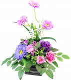 stroik-gerbera-liliowa-50x45