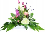 tulipany-max-stroik-lila-roz